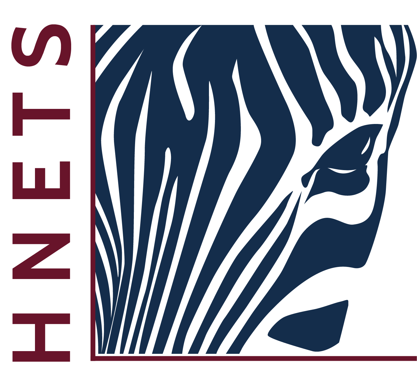 HNETS Icon